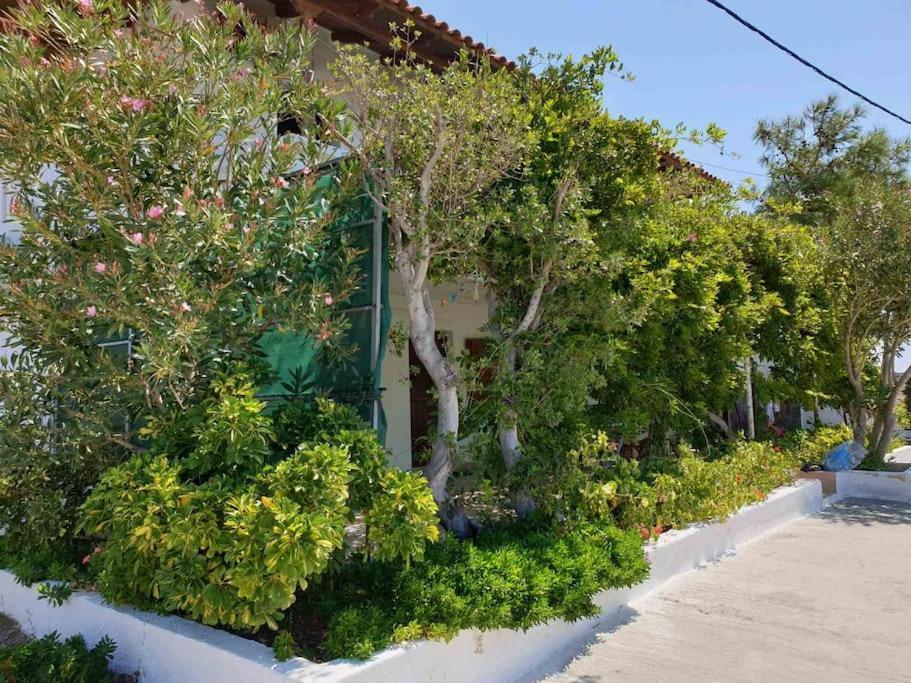 Traditional Olive House Makrýgialos Exterior foto